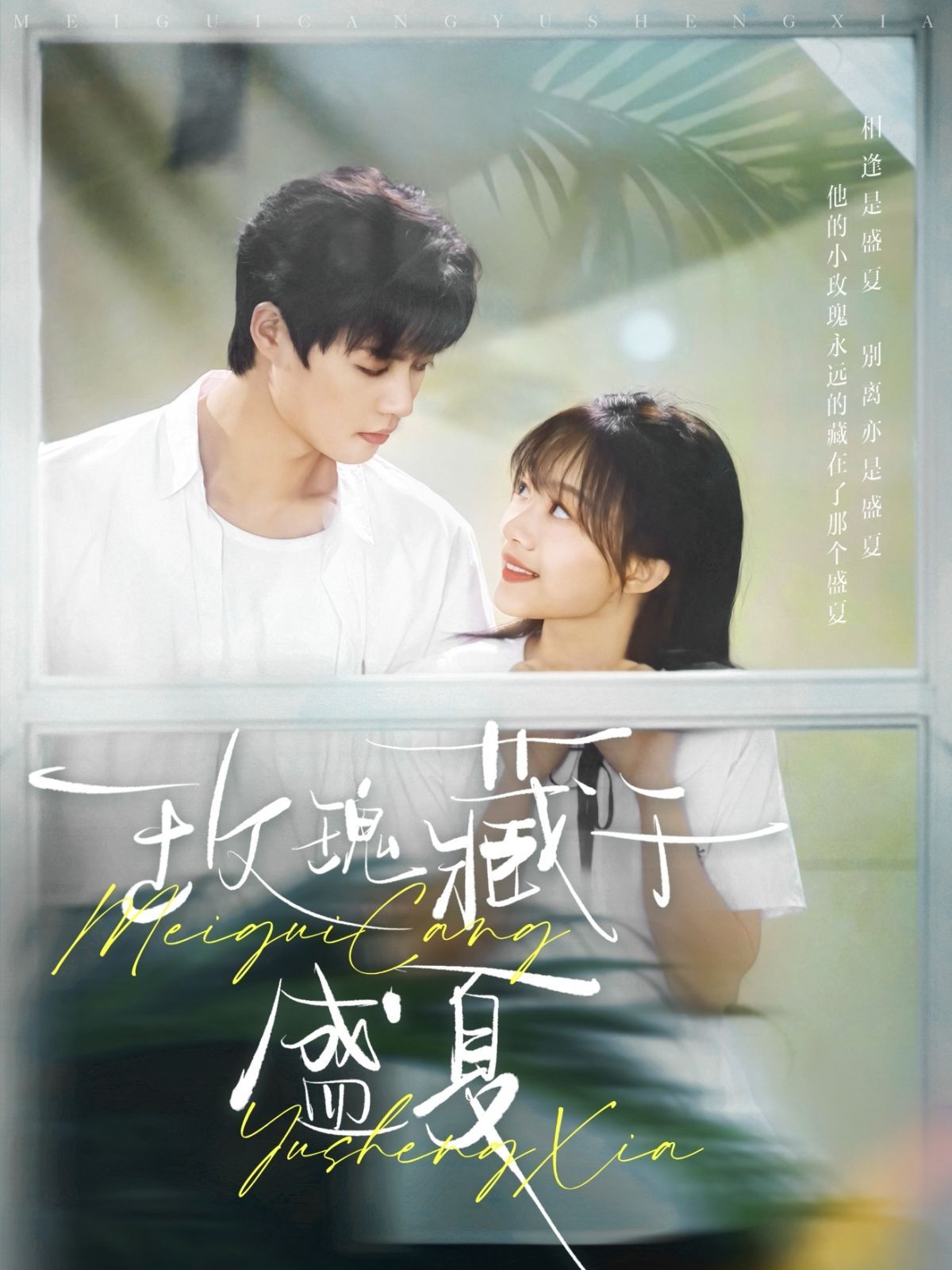 玫瑰藏于盛夏(全集)