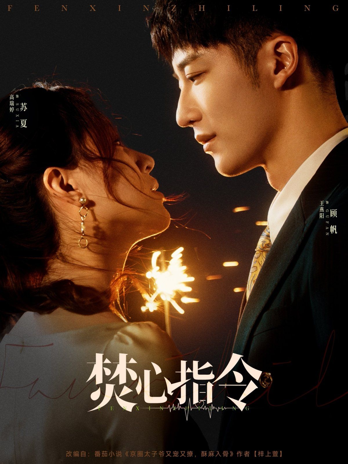 焚心指令(全集)