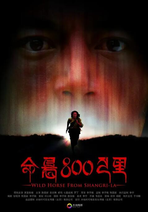 命悬800公里(全集)