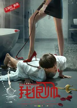 我很帅(全集)